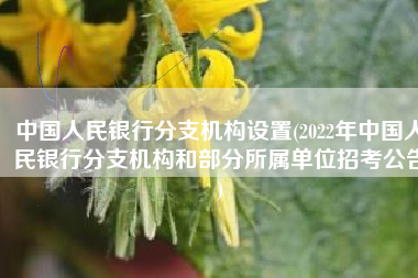 中国人民银行分支机构设置(2022年中国人民银行分支机构和部分所属单位招考公告)