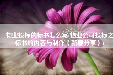 物业投标的标书怎么写(物业公司投标之标书的内容与制作（新春分享）)