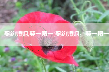 契约婚姻,娶一赠一(契约婚姻，娶一赠一)