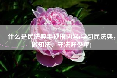 什么是民法典手抄报内容(学习民法典，做知法、守法好少年)