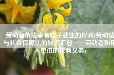 劳动者依法享有啥子就业的权利(劳动法与社会保障法的知识汇总——劳动者和用人单位的权利义务)