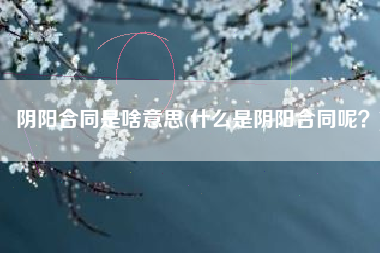 阴阳合同是啥意思(什么是阴阳合同呢？)