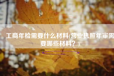 工商年检需要什么材料(营业执照年审需要哪些材料？)