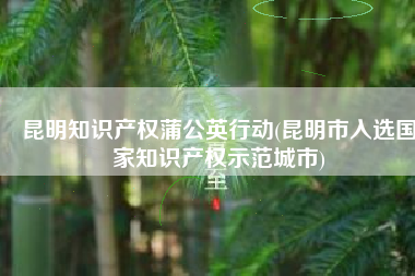 昆明知识产权蒲公英行动(昆明市入选国家知识产权示范城市)