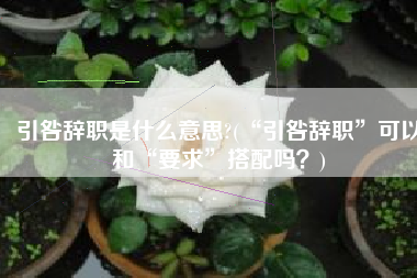 引咎辞职是什么意思?(“引咎辞职”可以和“要求”搭配吗？)