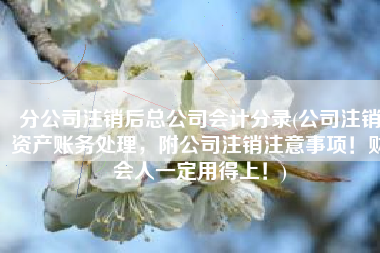 分公司注销后总公司会计分录(公司注销资产账务处理，附公司注销注意事项！财会人一定用得上！)