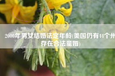 2000年男女结婚法定年龄(美国仍有44个州存在合法童婚)