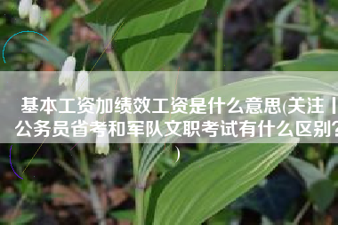 基本工资加绩效工资是什么意思(关注丨公务员省考和军队文职考试有什么区别？)