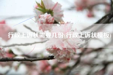 行政上诉状需要几份(行政上诉状模板)