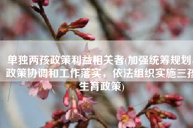 单独两孩政策利益相关者(加强统筹规划、政策协调和工作落实，依法组织实施三孩生育政策)