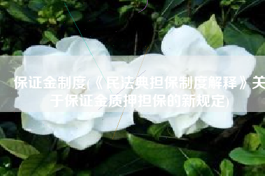 保证金制度(《民法典担保制度解释》关于保证金质押担保的新规定)
