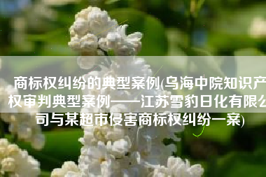商标权纠纷的典型案例(乌海中院知识产权审判典型案例——江苏雪豹日化有限公司与某超市侵害商标权纠纷一案)