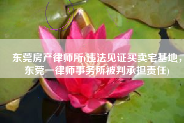 东莞房产律师所(违法见证买卖宅基地，东莞一律师事务所被判承担责任)