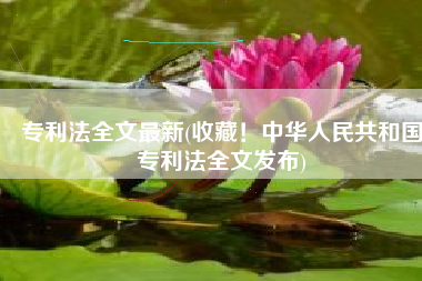 专利法全文最新(收藏！中华人民共和国专利法全文发布)