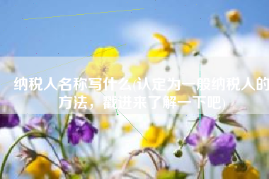 纳税人名称写什么(认定为一般纳税人的方法，戳进来了解一下吧)
