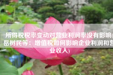 所得税税率变动对营业利润率没有影响(岳树民等：增值税如何影响企业利润和营业收入)