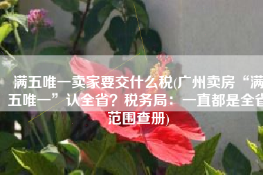 满五唯一卖家要交什么税(广州卖房“满五唯一”认全省？税务局：一直都是全省范围查册)