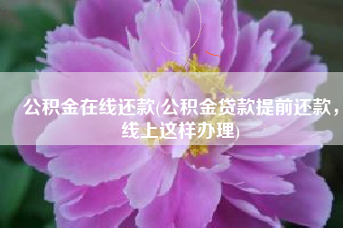 公积金在线还款(公积金贷款提前还款，线上这样办理)