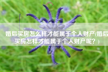 婚后买房怎么样才能属于个人财产(婚后买房怎样才能属于个人财产呢？)