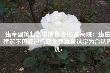 违章建筑怎么申请合法化(最高院：违法建筑不因经过行政处罚就应认定为合法建筑)