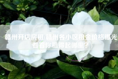 赣州开店房租(赣州各小区租金价格曝光 看看你租得起哪里？)
