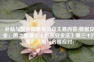 补贴与反补贴措施协议主要内容(数据安全，国之重器丨《数据安全法》第三十六条的适用与合规应对)
