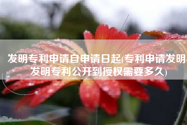 发明专利申请自申请日起(专利申请发明-发明专利公开到授权需要多久)
