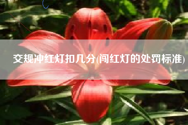 交规冲红灯扣几分(闯红灯的处罚标准)