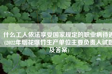 什么工人依法享受国家规定的职业病待遇(2022年烟花爆竹生产单位主要负责人试题及答案)