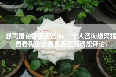 想离婚在哪里去咨询(一个人咨询想离婚看看我的答复是否正确请您评论)