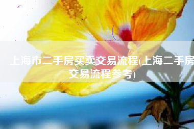 上海市二手房买卖交易流程(上海二手房交易流程参考)