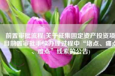前置审批流程(关于征集固定资产投资项目前置审批手续办理过程中“堵点、痛点、难点”线索的公告)
