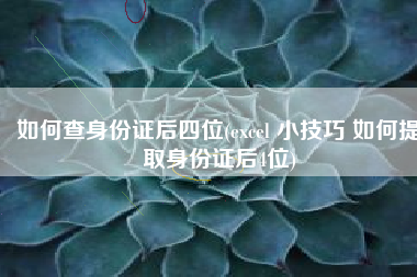 如何查身份证后四位(excel 小技巧 如何提取身份证后4位)