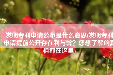 发明专利申请公布是什么意思(发明专利申请提前公开存在利与弊？您想了解的真相都在这里)