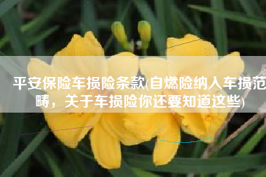 平安保险车损险条款(自燃险纳入车损范畴，关于车损险你还要知道这些)
