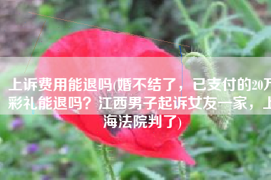 上诉费用能退吗(婚不结了，已支付的20万彩礼能退吗？江西男子起诉女友一家，上海法院判了)