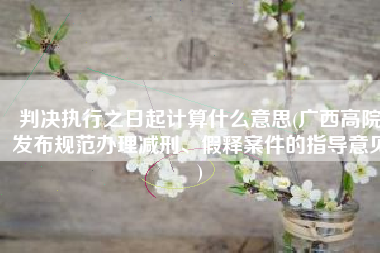判决执行之日起计算什么意思(广西高院发布规范办理减刑、假释案件的指导意见)