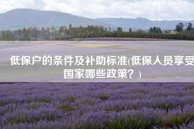 低保户的条件及补助标准(低保人员享受国家哪些政策？)