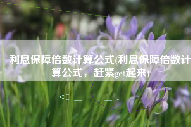 利息保障倍数计算公式(利息保障倍数计算公式，赶紧get起来)