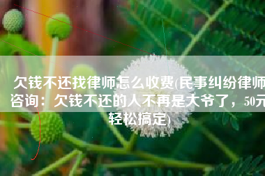 欠钱不还找律师怎么收费(民事纠纷律师咨询：欠钱不还的人不再是大爷了，50元轻松搞定)