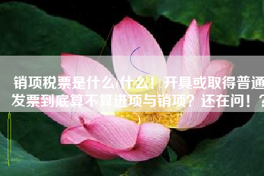 销项税票是什么(什么！开具或取得普通发票到底算不算进项与销项？还在问！？)