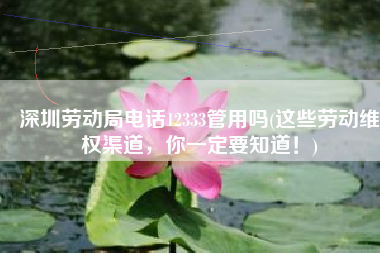 深圳劳动局电话12333管用吗(这些劳动维权渠道，你一定要知道！)