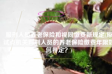 服刑人员养老保险和视同缴费新规定(原试点机关判刑人员的养老保险缴费年限如何界定？)