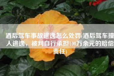 酒后驾车事故逃逸怎么处罚(酒后驾车撞人逃逸，被判自行承担100万余元的赔偿责任)
