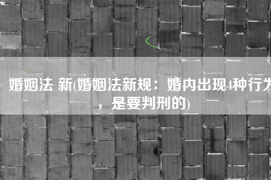婚姻法 新(婚姻法新规：婚内出现4种行为，是要判刑的)