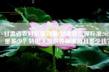 甘肃省农村低保政策(甘肃省低保标准2022是多少？特困人员供养标准每月多少钱？)
