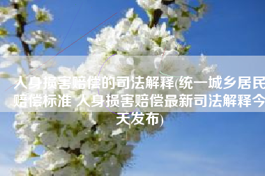 人身损害赔偿的司法解释(统一城乡居民赔偿标准 人身损害赔偿最新司法解释今天发布)
