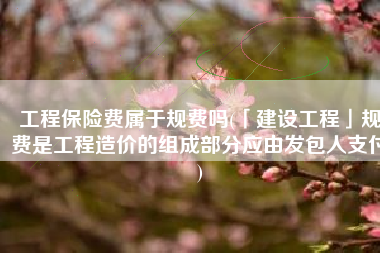 工程保险费属于规费吗(「建设工程」规费是工程造价的组成部分应由发包人支付)