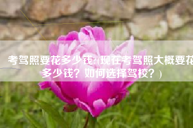 考驾照要花多少钱?(现在考驾照大概要花多少钱？如何选择驾校？)