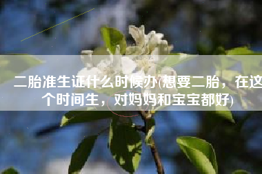 二胎准生证什么时候办(想要二胎，在这个时间生，对妈妈和宝宝都好)